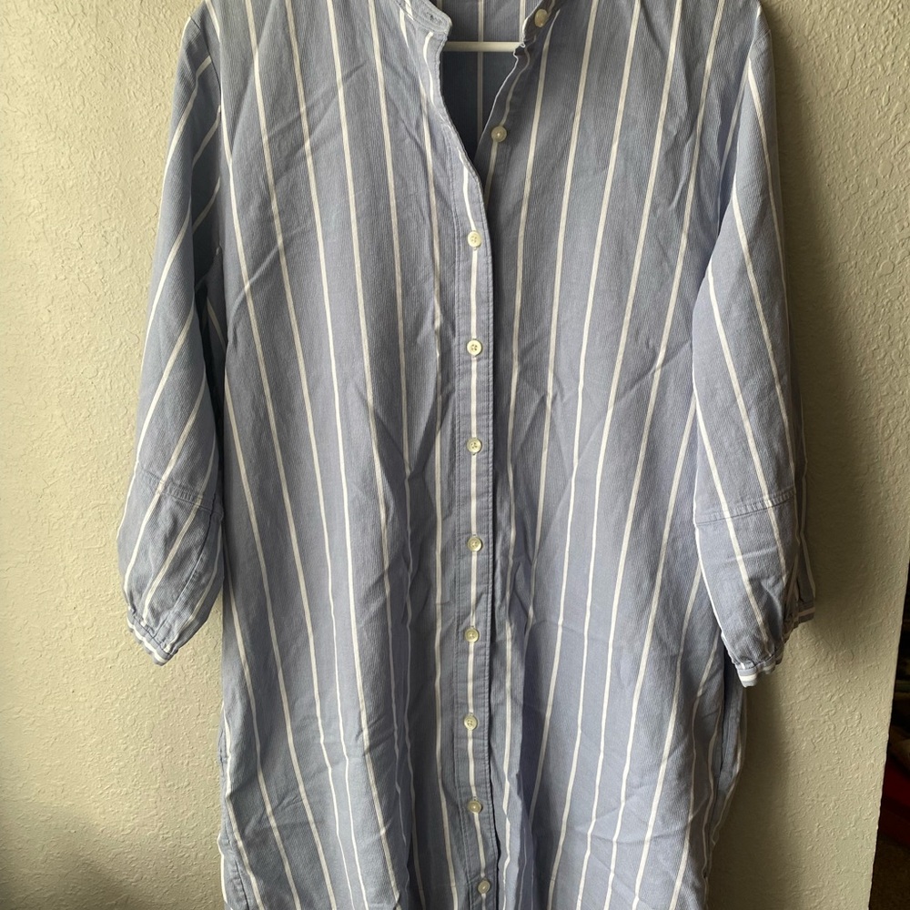 Everlane Blue and White Casual Button Down Shirtdress